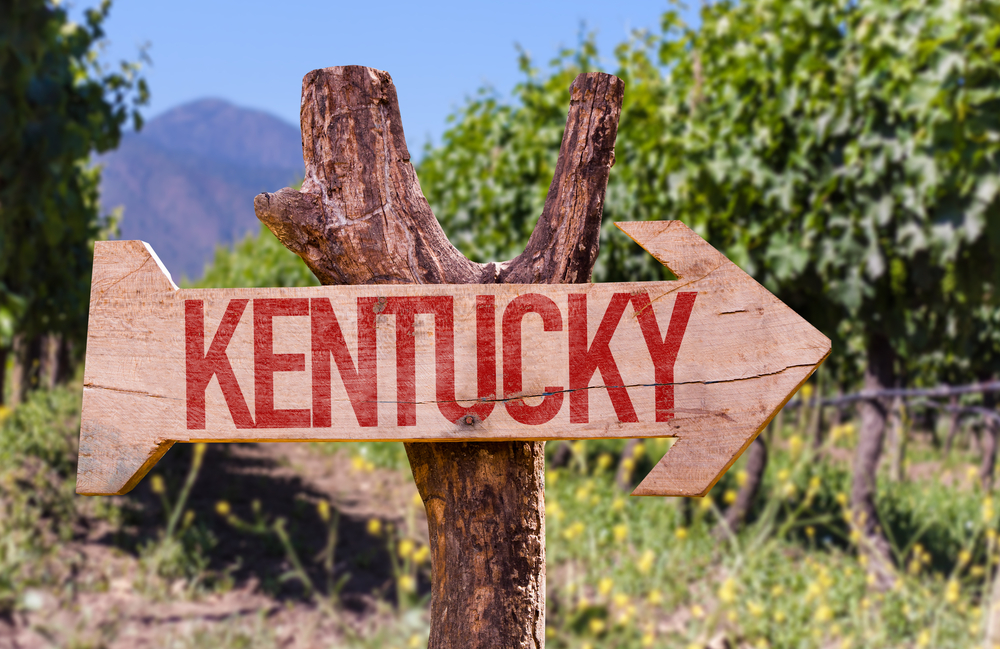 wooden sign that says Kentucky with vineyard in the background