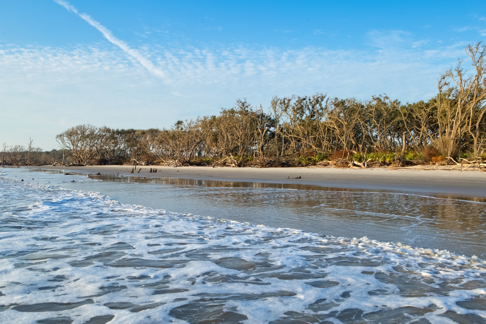 Photo of a secluded beach at Wassaw National Wildlife Refuge, one of the best day trips from Savannah.