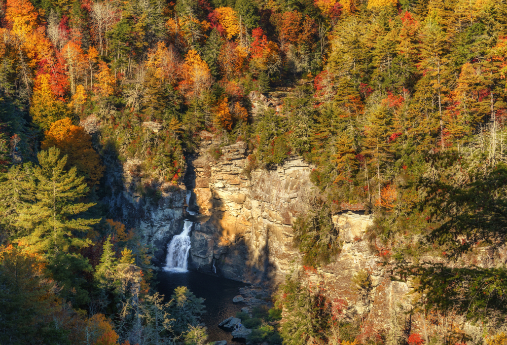 A photo of autumn trees surrounding a waterfall on Erwins View Trail, one of the most magical Blue Ridge Parkway hikes.