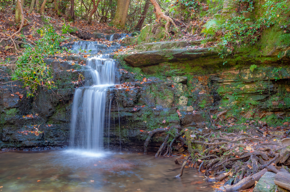 Photo of a waterfall in Franklin D. Roosevelt State Park, one of the best places for camping in the south.