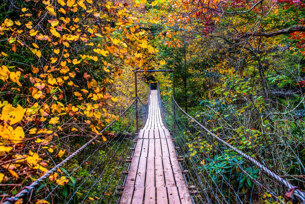 Photo of a bridge in Fall Creek Falls State Park in Tennessee, one of the best places for camping in the south.