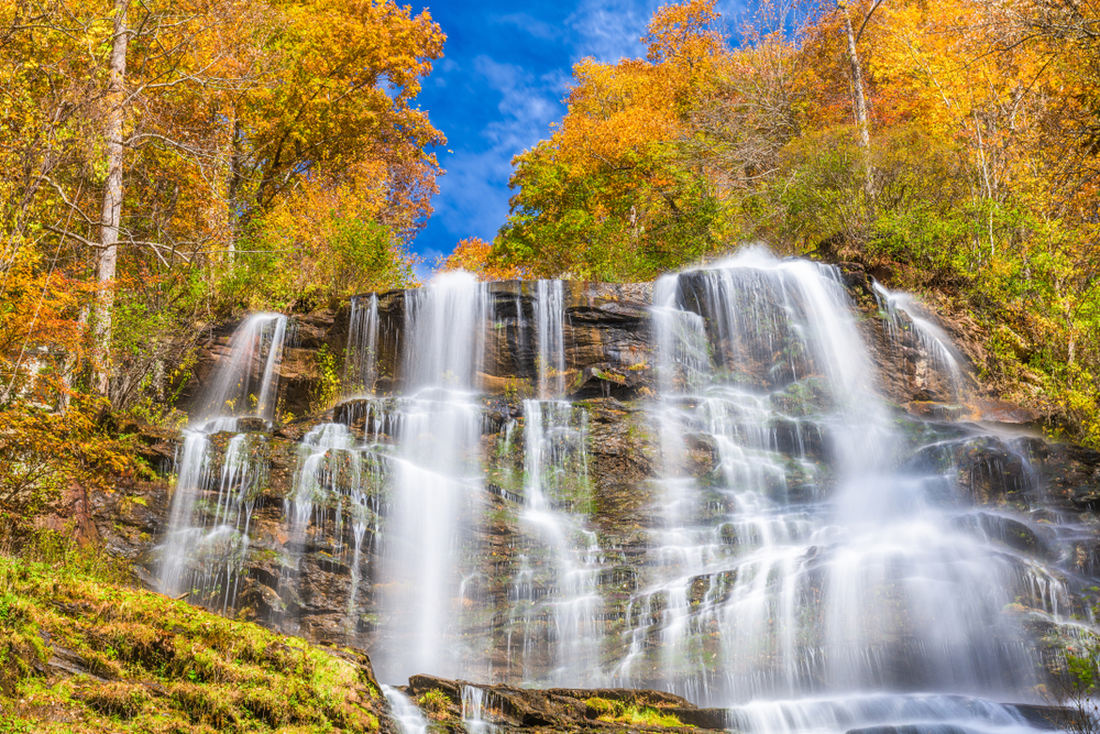 Photo of fall in Georgia that makes for a vibrant background of fading greens and bight yellows against the wide white cascades of Amicalola Falls. 