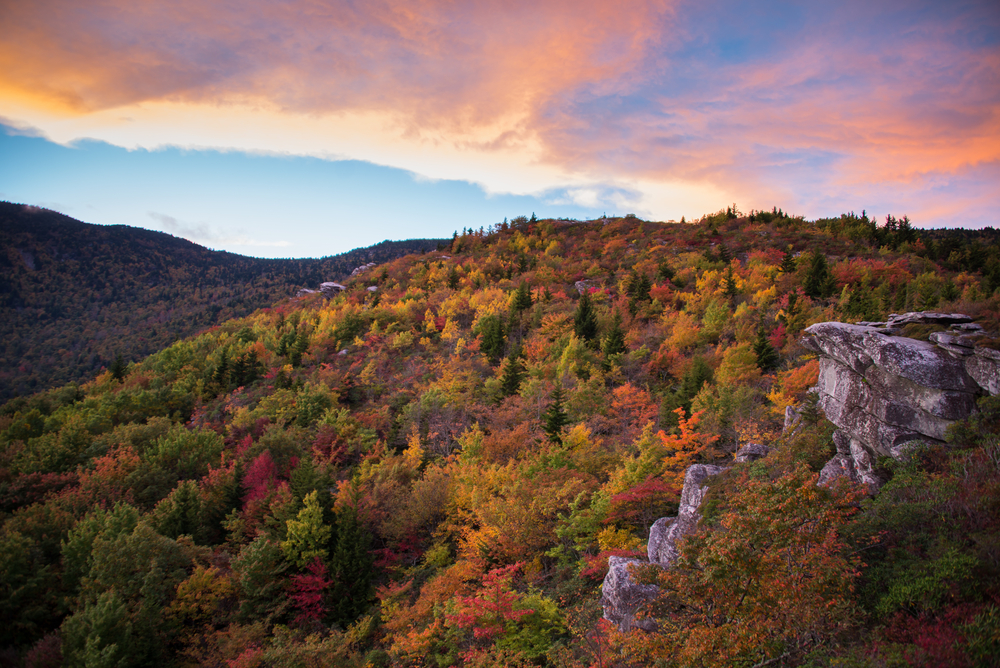 Photo of Blue Ridge Mountain at sunset that showcases a pink cloudy sky that reflects the oranges, reds, and yellows of the forest beneath it. 