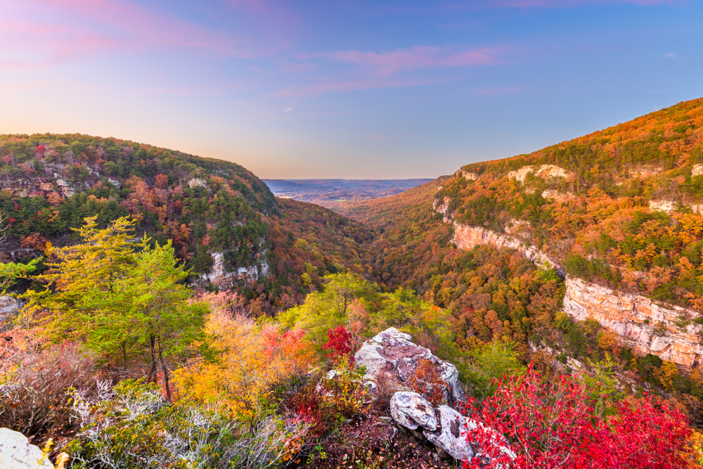 Photo of Cloudland Canyon where the Georgia fall foliage is beginning to shift colors from greens to oranges and reds. 