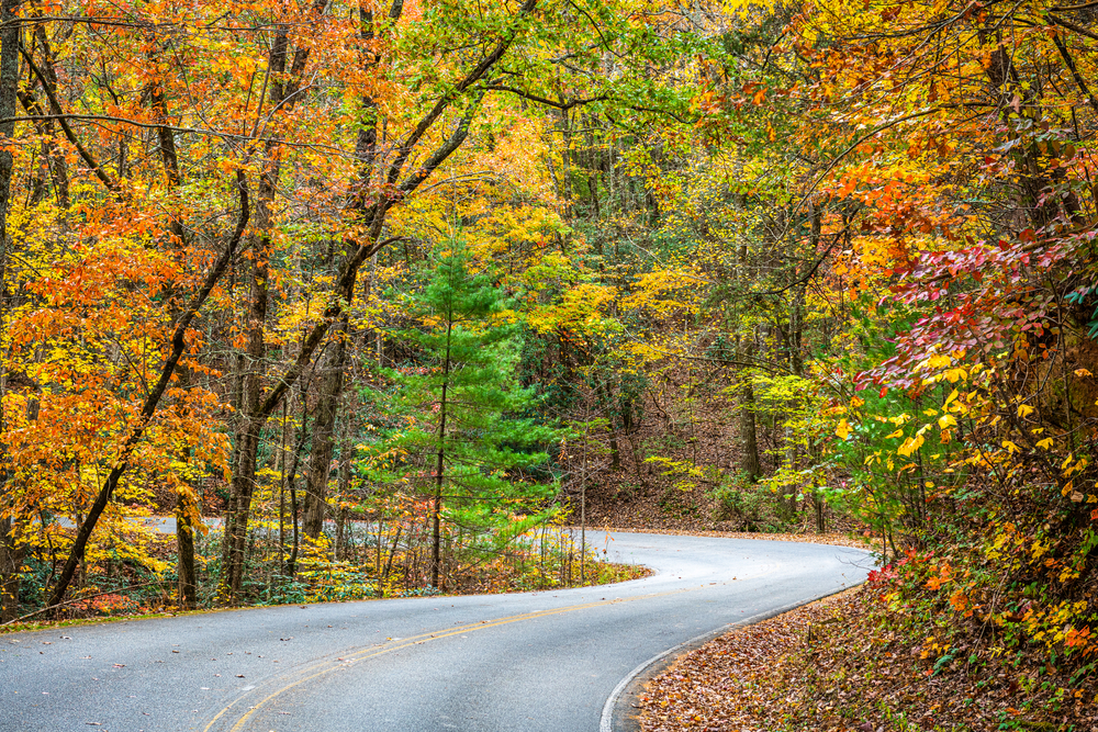 12 Best Places To Experience Fall In Southern Trippers