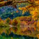 fall foliage in texas with a reflection of colors on the lake