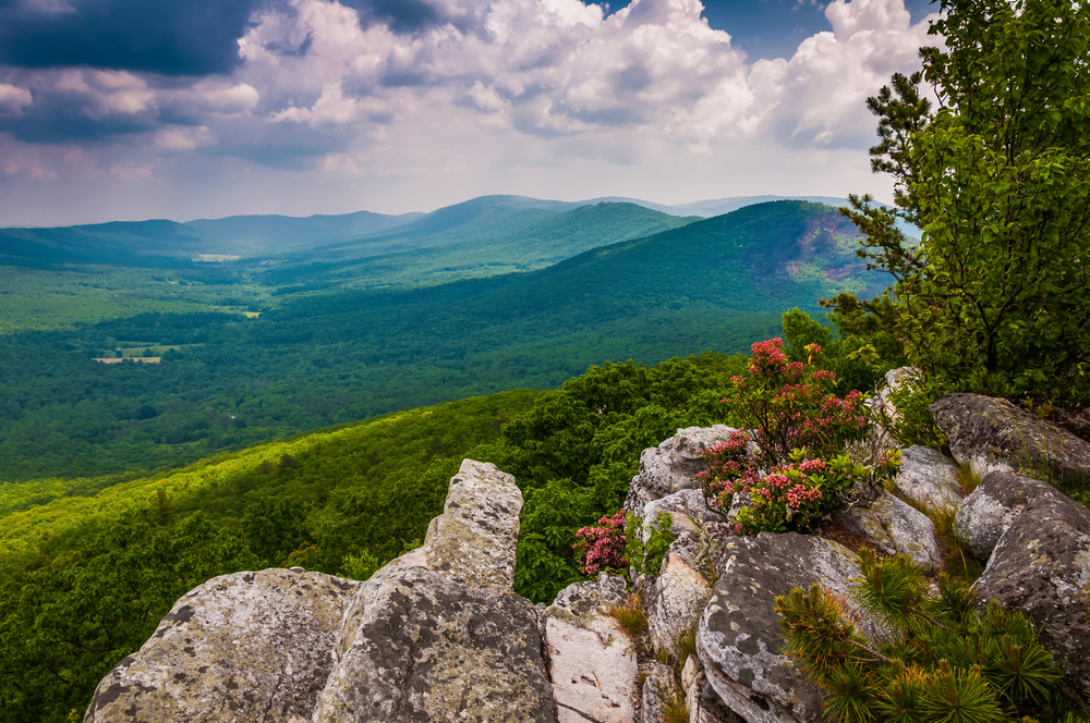 George Washington National Forest is a great place to hike and camp in Virginia.