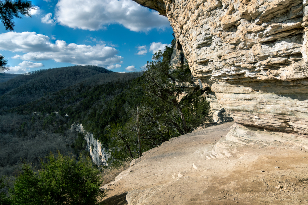 A photo of the forest on a Big Bluff located on Goat Trail in Arkansas, one of the most scenic hikes in Arkansas.