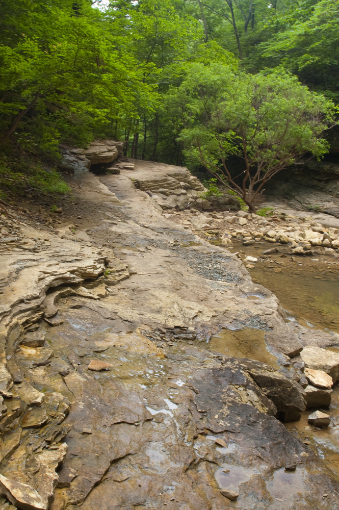 A photo of a creek running through Hemmed-in Hollow Falls Trail, one of the best hikes in Arkansas.