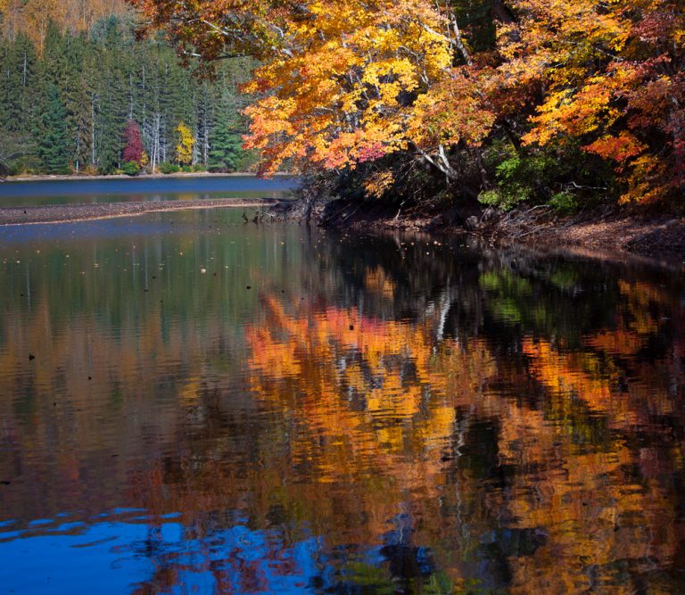 Fall In North Carolina 2023: 15 Best Places For Fall Colors - Southern ...