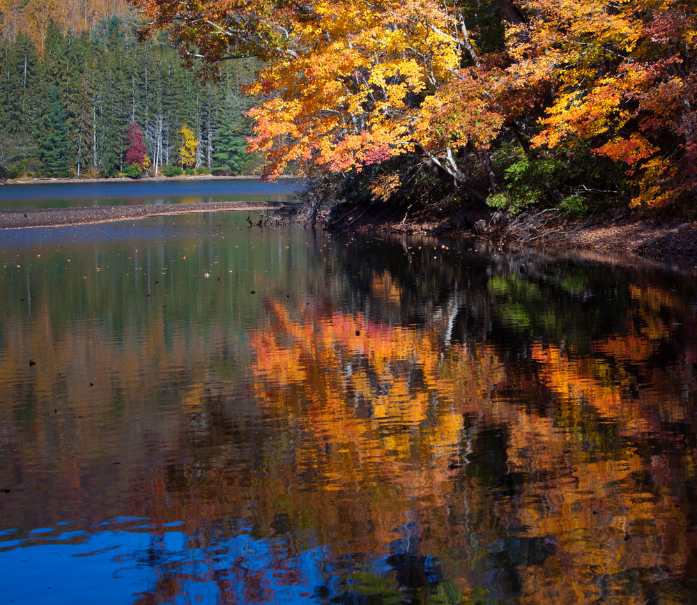 A photo of orange and yellow leaves draping over Lake Lure during fall in North Carolina.