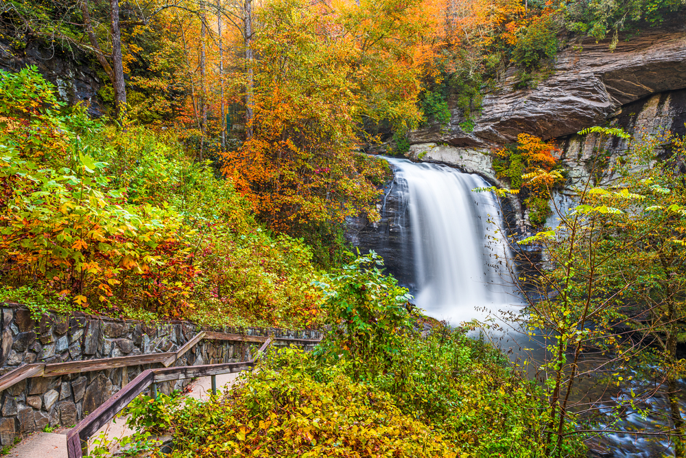 A picture of Looking Glass Falls and autumn leafed trees in the Pisgah National Forest.