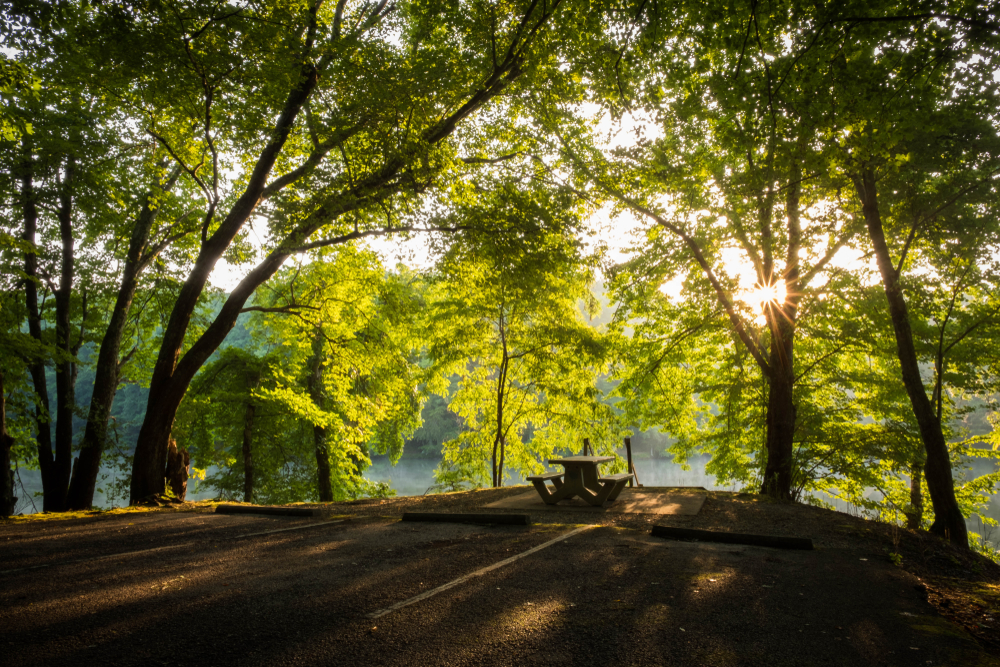 Photo of a picnic area in South Cumberland State Park in Tennessee.