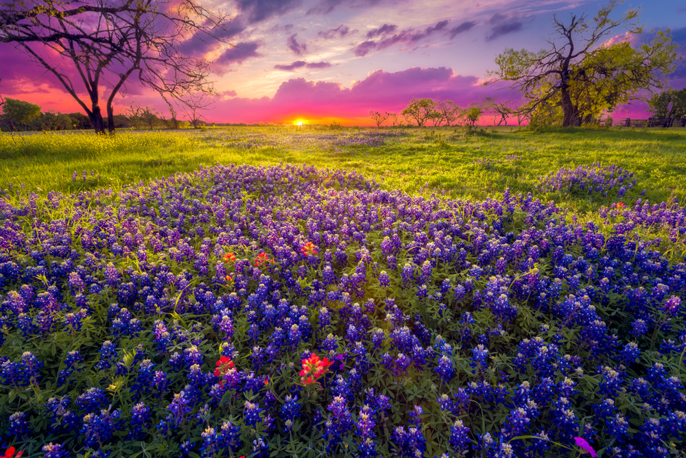 texas coast road trip