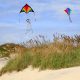 Photo of the Outer Banks Kite Festival, one of the best things to do in the Outer Banks.