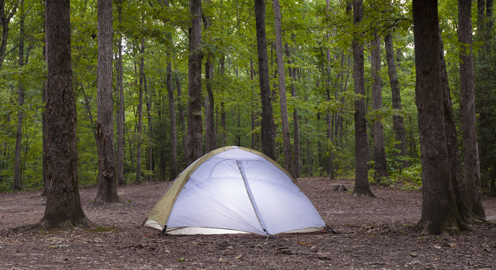 Photo of a camping tent in Uwharrie National Forest in North Carolina.