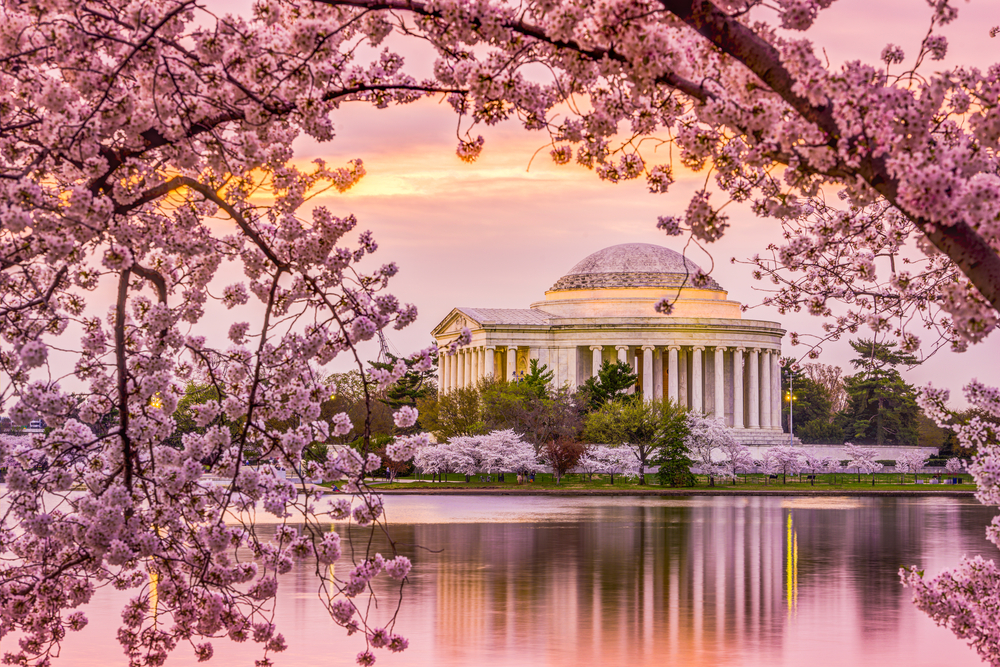 Washington D.C. is a must visit place in the spring.