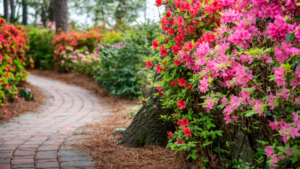 brick walkway surrounded by flowers