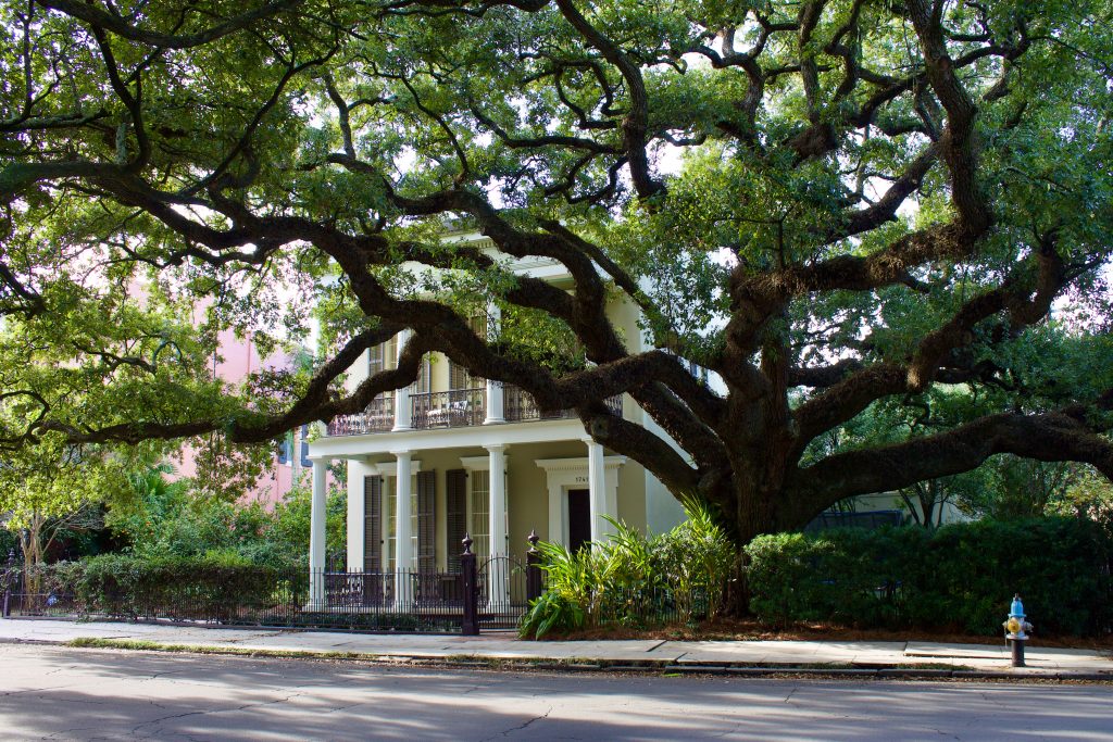 A beautiful Oak tree shadows a mansion in the spring, the best time to visit New Orleans.