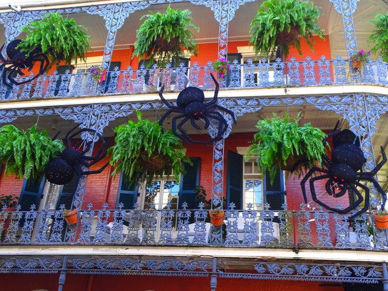 Best Time To Visit New Orleans When To Go And When To Avoid Southern