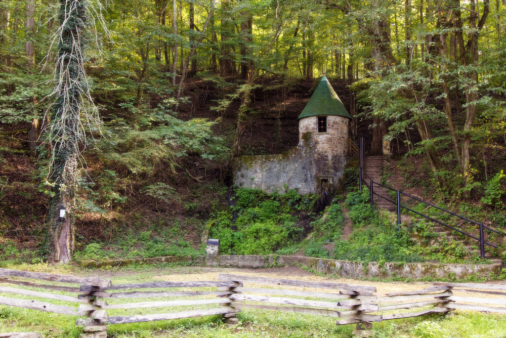 Photo of the small Spring Castle, surrounded by woods with a path of stairs running alongside it. 