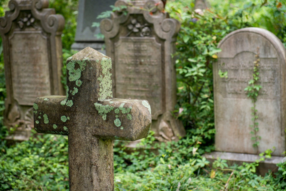 Antique tomb stones in a historic cemetery in South Carolina. There is greenery covering the tomb stones and one is in the shape of cross with moss growing on it. 