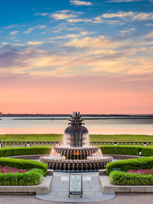 16 Unique And Fun Things To Do In Charleston story
