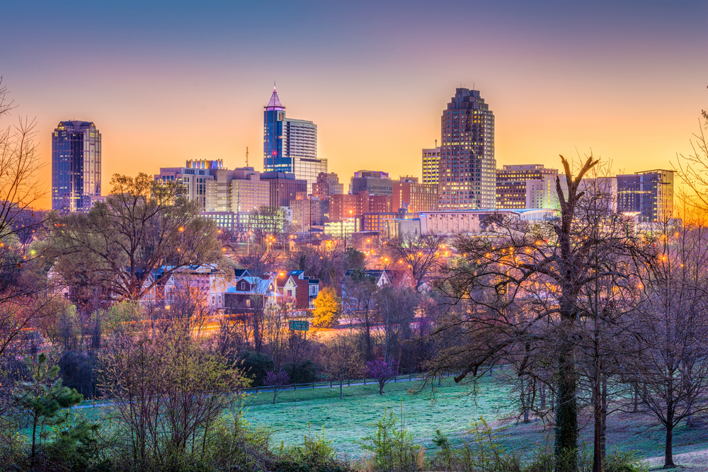 skyline of raleigh from dorthea dix park