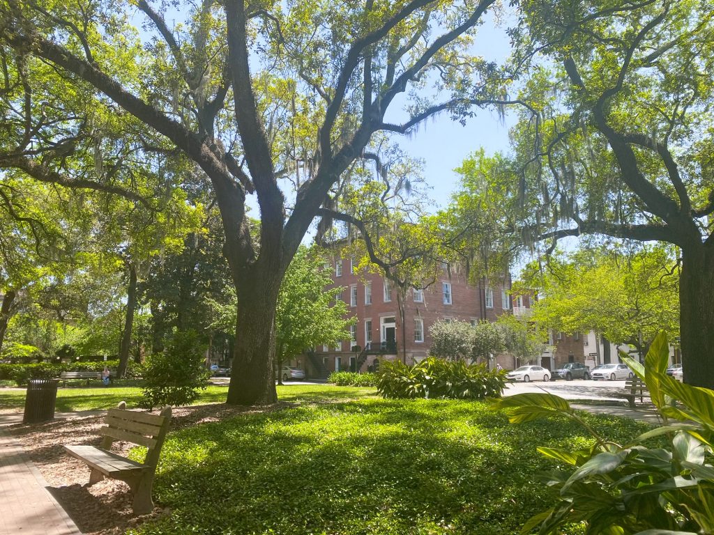 Ogelthorpe Square in Savannah on a sunny day. There is a large grassy area, nice sidewalks, and lots of trees and shrubs. The trees have Spanish moss hanging from them. From the square, you can see historic brick buildings and cars. 