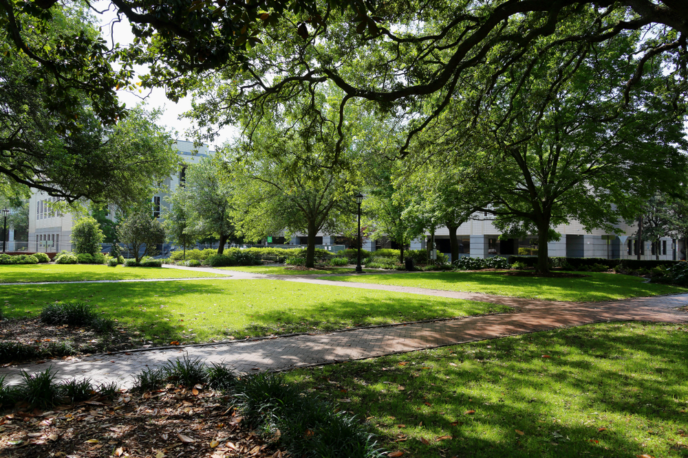 A green square surrounded by houses