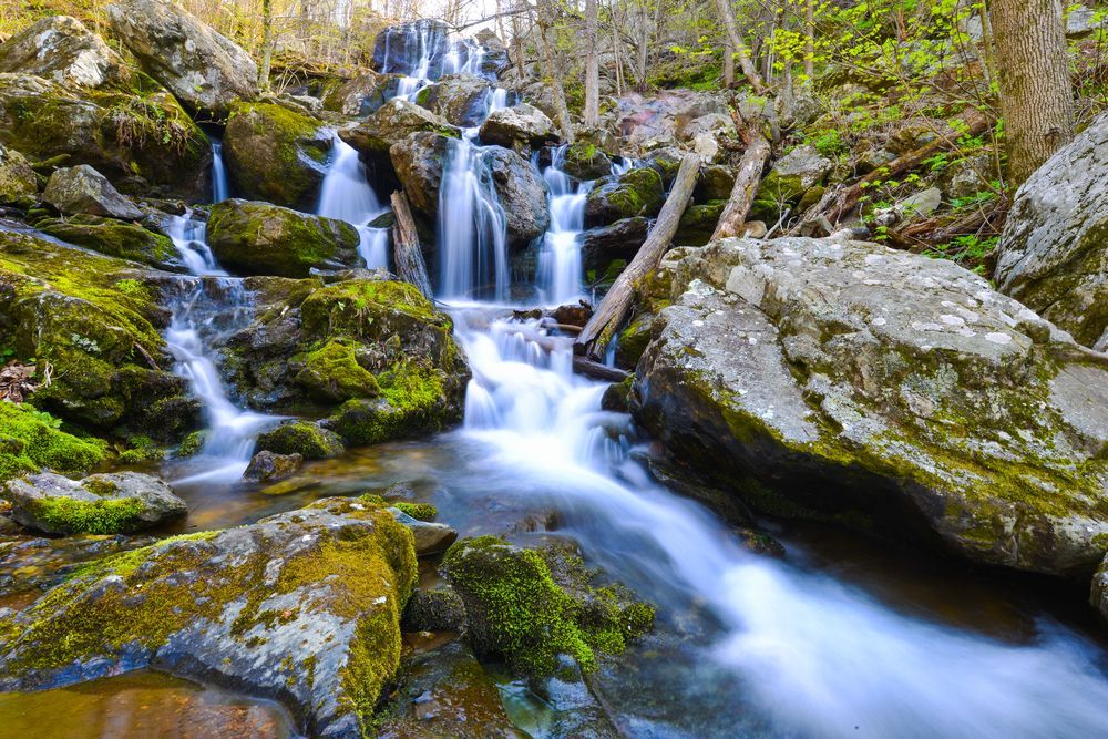 The Dark Hollow Falls in Shenandoah National Park.