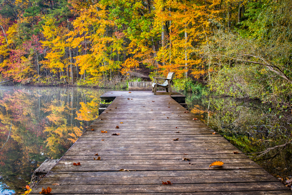 10 Best Places to Experience Fall in Alabama Southern Trippers
