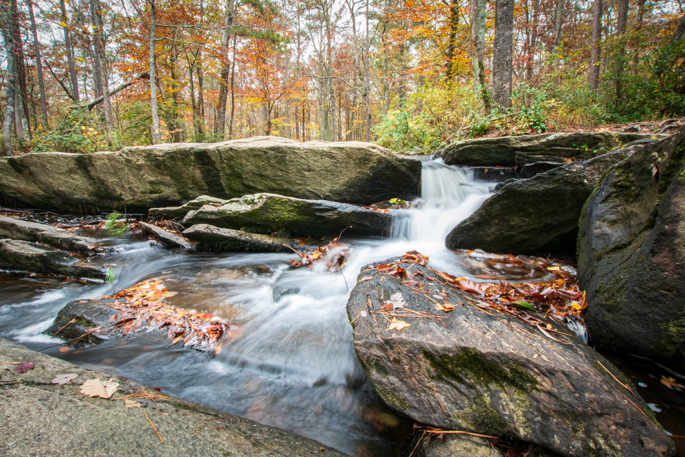 Water rushes over the rocks of Cheaha Falls and is filled with autumn leaves. 