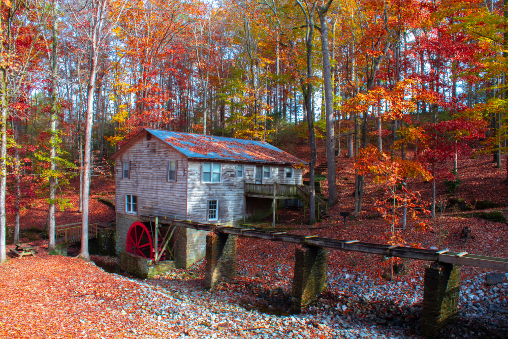 An old grist mill with a bright red wheel, sits in the center of an Alabama forest in the autumn.