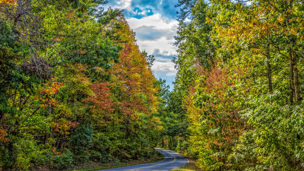 A paved road winds through the autumn foliage in Alabama. 