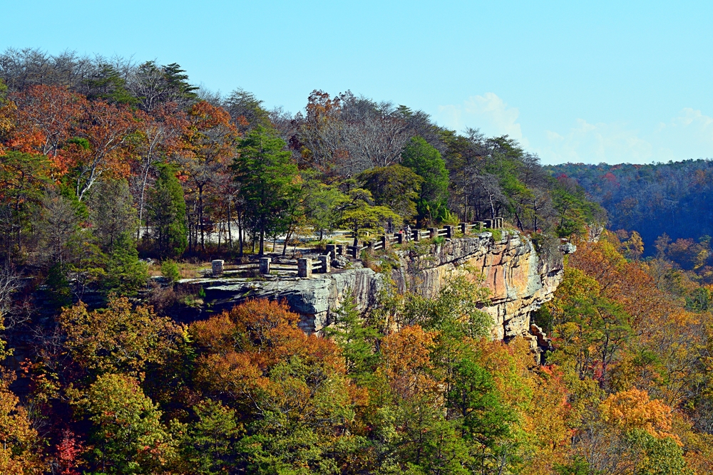 A rocky overlook sits above fall foliage in Alabama. 