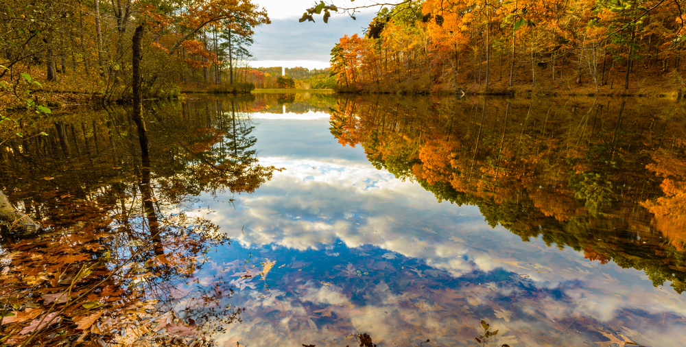 Bright oranges and yellow trees during fall in Alabama are reflected in a still lake.