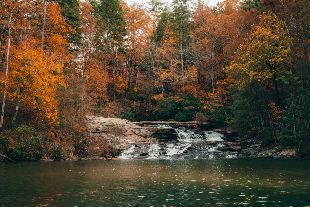  a waterfall flowing into Lake Keowee surrounded by colorful fall woodlands near Clemson, South Carolina in fall