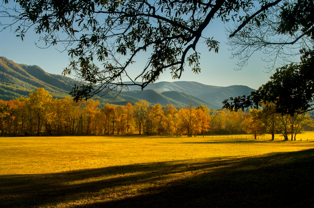Photo of Cades Cove valley with the Smoky Mountains in the background, 