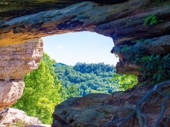 double arch on a hiking trail in kentucky