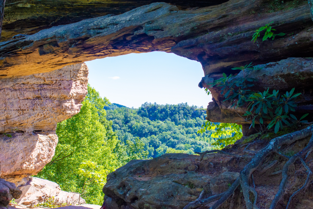 double arch on a hiking trail in kentucky