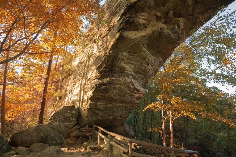 Photo of the view beneath Natural Bridge, rock formation in Natural Bridge State Resort Park,  surrounded by fall foliage.