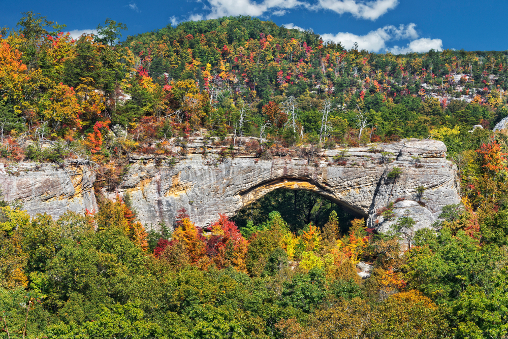 Photo of a natural rock arch within Red River Gorge surrounded by fall foliage.