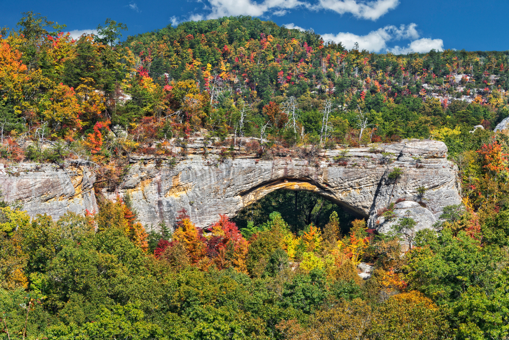 12 Scenic Trails for Hiking in Kentucky Southern Trippers