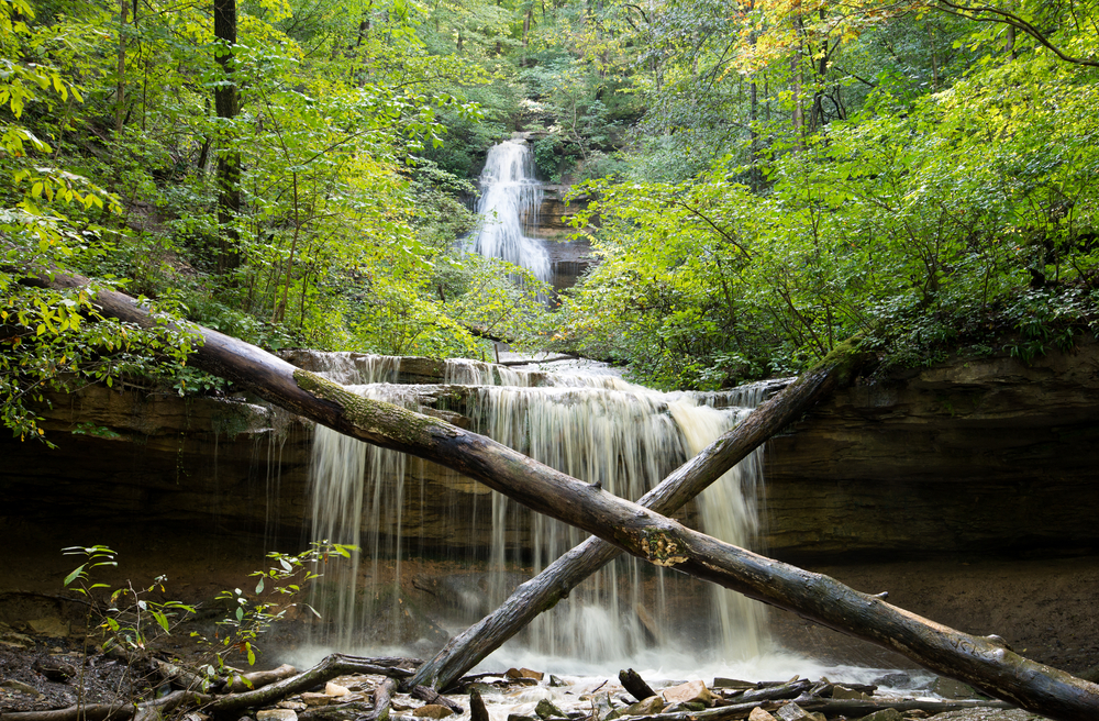 Photo of Tioga Falls Trail cascading down multiple rocks and plunging into a small pool below. 