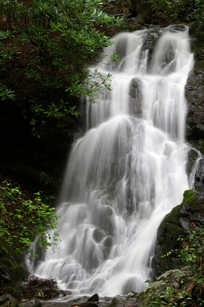 Photo of cataract falls flowing down boulders and surrounded by trees.