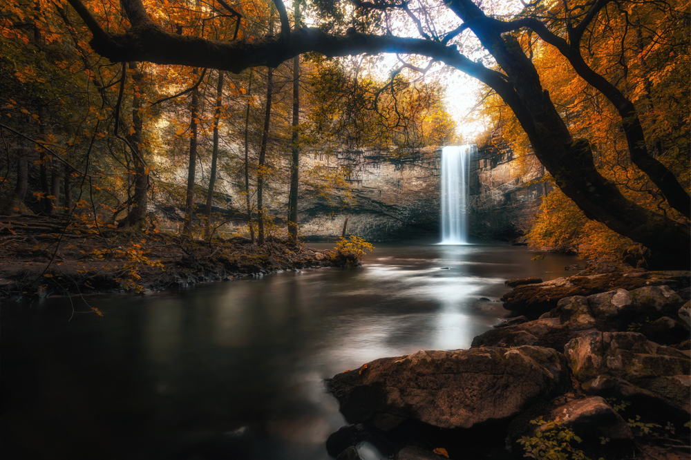 Photo of Foster Falls flowing into a large river and  surrounded by fall foliage.