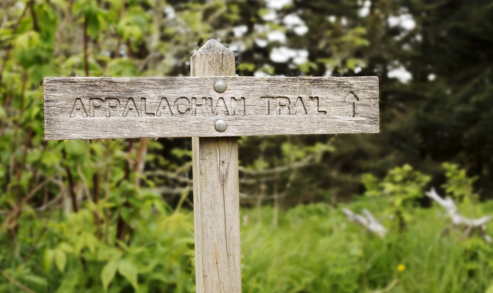 A wooden sign with 'Appalachian Trail' and an arrow carved into it. Behind it there are trees with green leaves and tall green grass, a must stop on the Blue Ridge Parkway drive. 