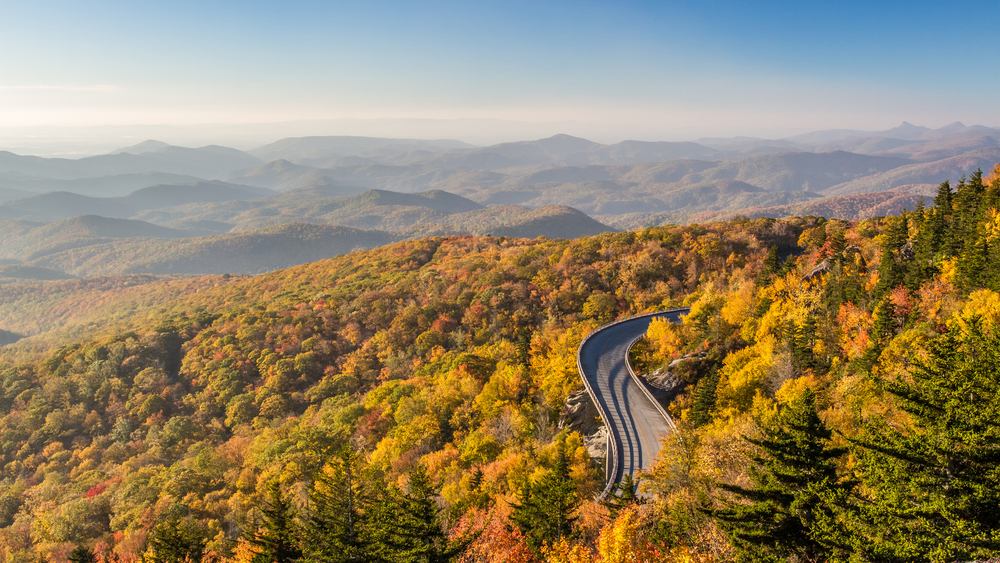 An aerial view of the Linn Cove Viaduct in the fall. The trees are yellow, orange, and some green. You can see the mountain peaks in the distance and the sky is blue and clear. 