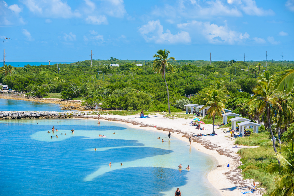 two tones blue water on sandy beach with palm trees